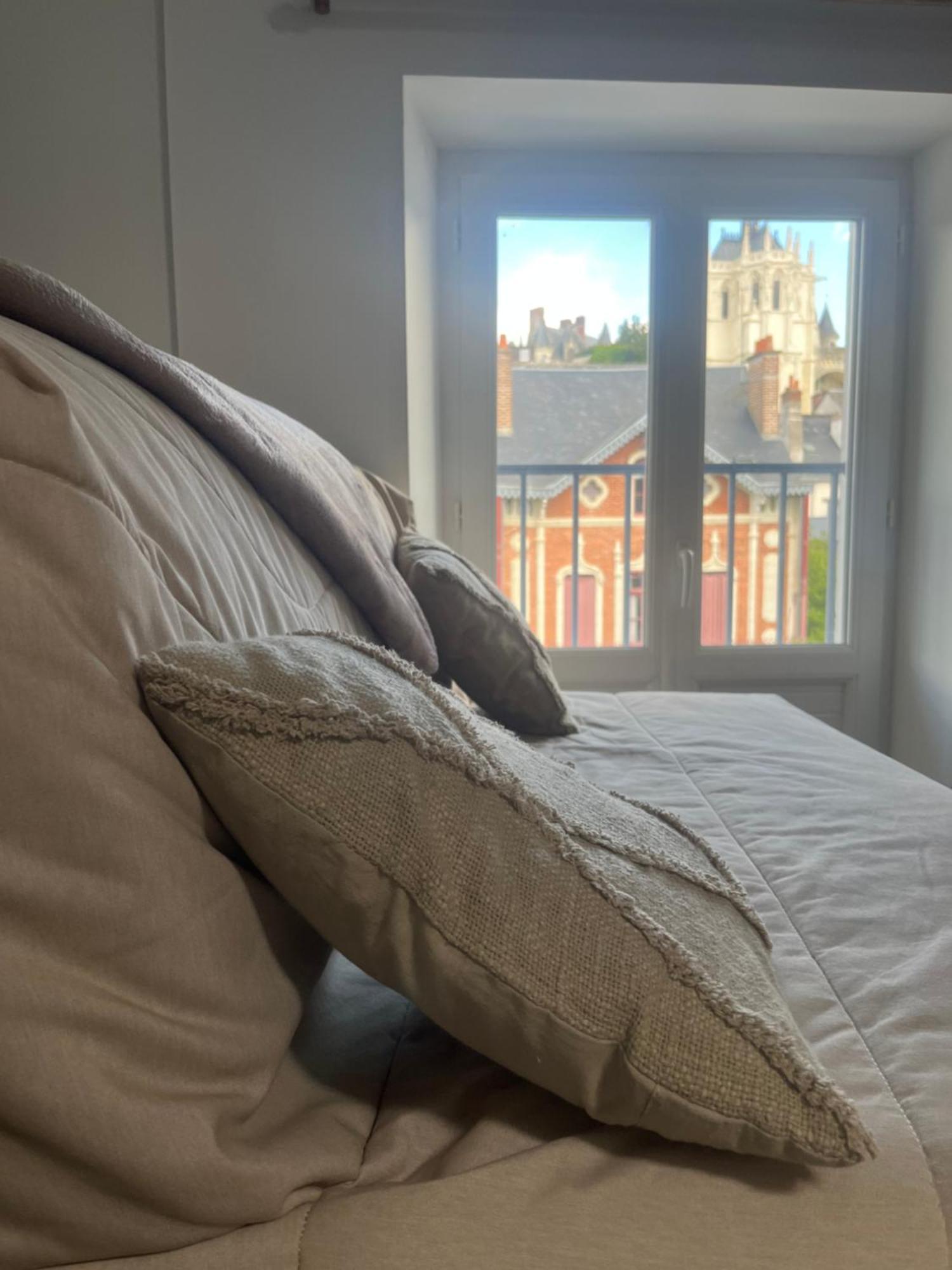 Sejour De Charme Au Boheme Apartment Amboise Ngoại thất bức ảnh